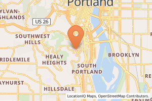 Portland VA Medical Center – Opiate Treatment